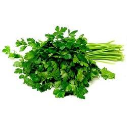 Italian Parsley Herbs