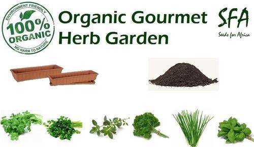 100% Organic Gourmet Herb Garden - Grow your own fresh herbs in your kitchen