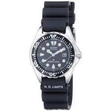 Citizen Women's Eco-Drive 300 Meter Professional Diver Watch