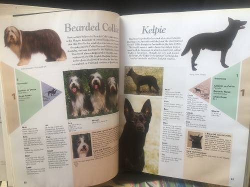THE ROYAL CANIN DOG ENCYCLOPEDIA, R75