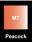 CRAFT PAINT METAL 250ml  PEACOCK - Jar - 250ml