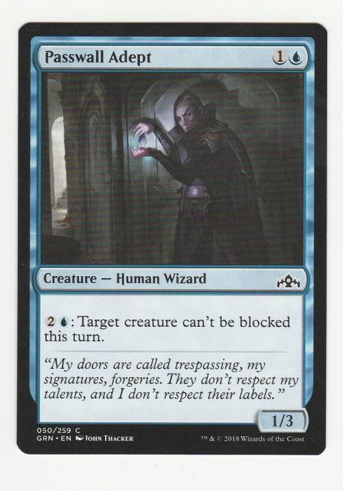 Magic the Gathering 2018 (NM) - Passwell Adept - Common - Guilds of Ravnica