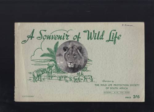 Souvenir of Wild Life, Kruger National Park