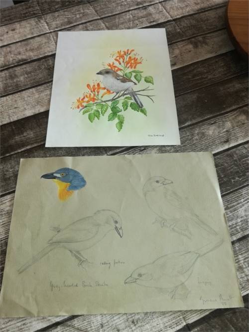 two original art works -  Julia Birkhead and Graeme Arnott