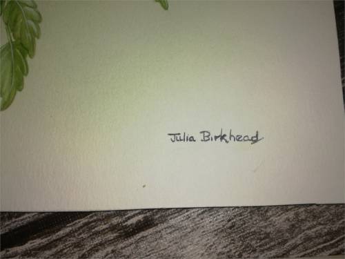 two original art works -  Julia Birkhead and Graeme Arnott