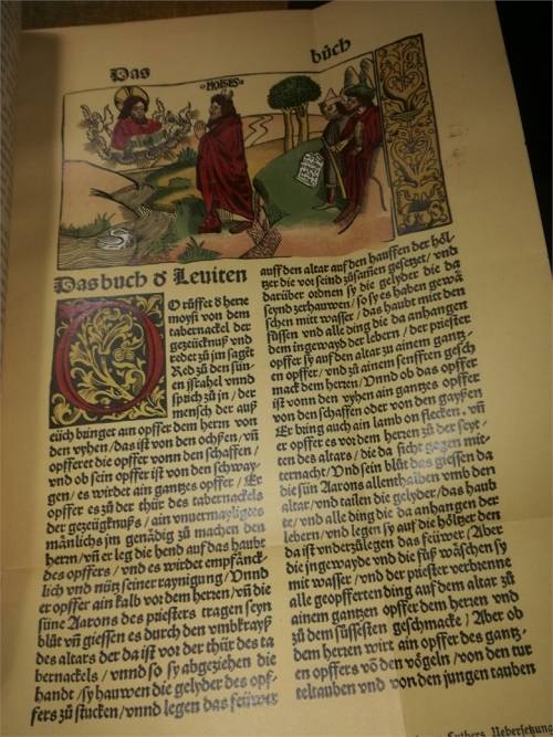 Geschichte der Deutschen Literatur (1903)