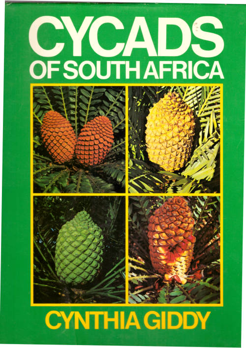 Cycads of Southern Africa - Cynthia Giddy