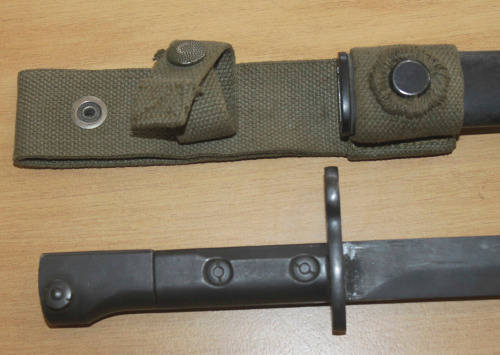 Uzi Bayonet and frog