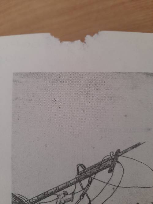 The Caliban Shore : The Fate of the Grosvenor Castaways : Stephen Taylor