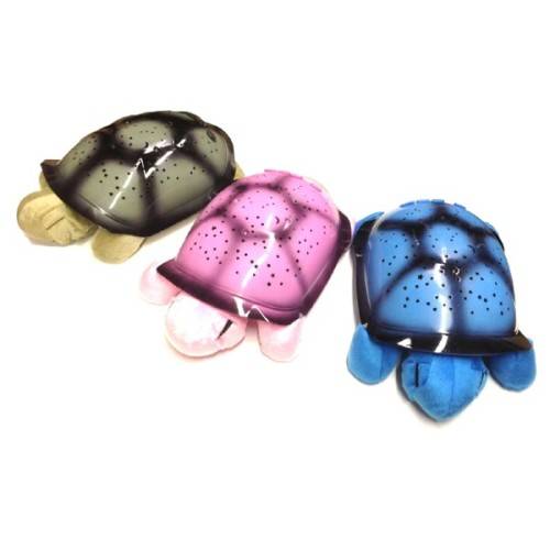 TURTLE NIGHT SKY CONSTELLATIONS