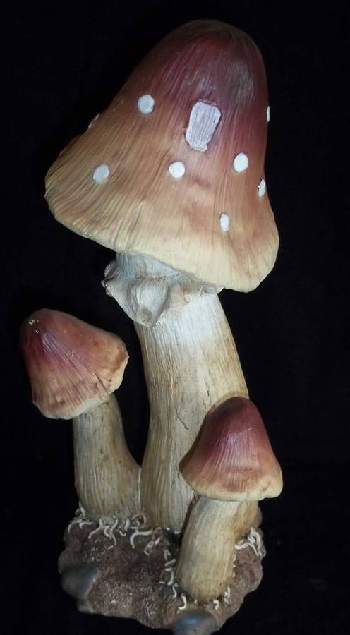 Garden Mushroom