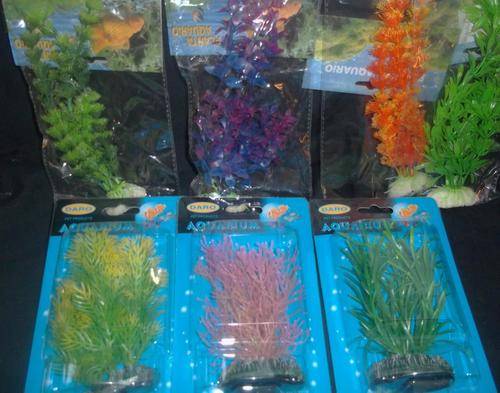 Aquarium Plants