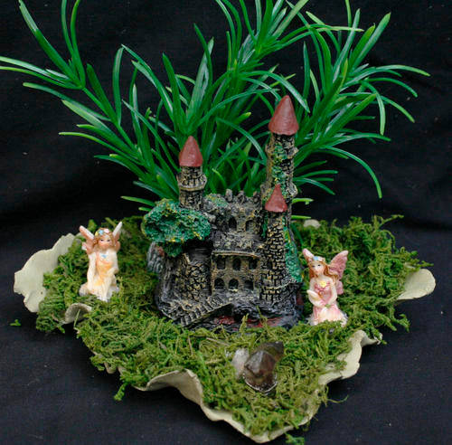 Fairy garden