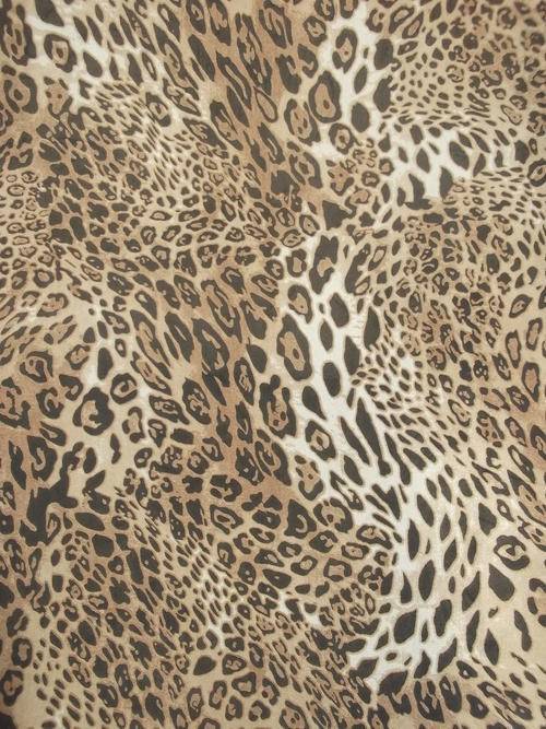 chiffon scarf,brown scarf,scarves,wrap,leopard