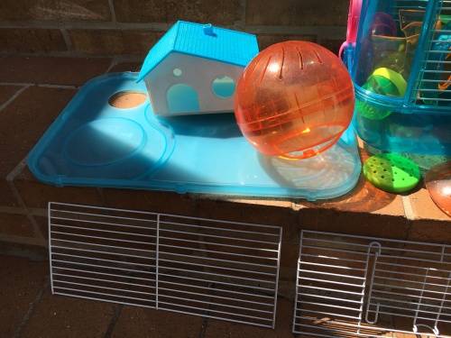 Hamster cage with many accessories - excellent