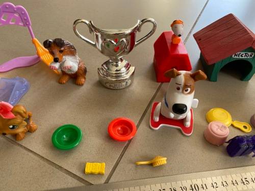 Lot of dog related toys and items