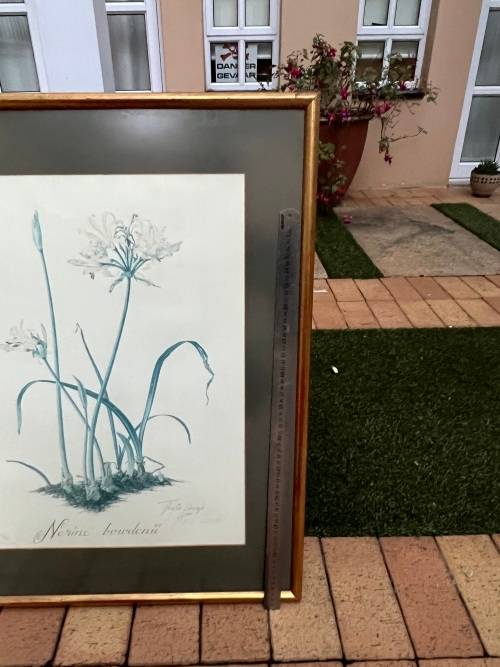 Beautiful artwork of flowers in frame - cheap