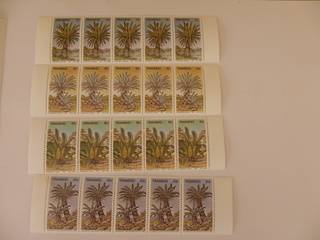 Transkei 1.18 (1980) - Cycads Mint Control Block Set