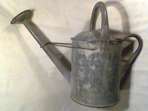 A Old Vintage 2 Gallon Galvanised Watering Can with Rose.Ideal for display.Sold as used second hand.