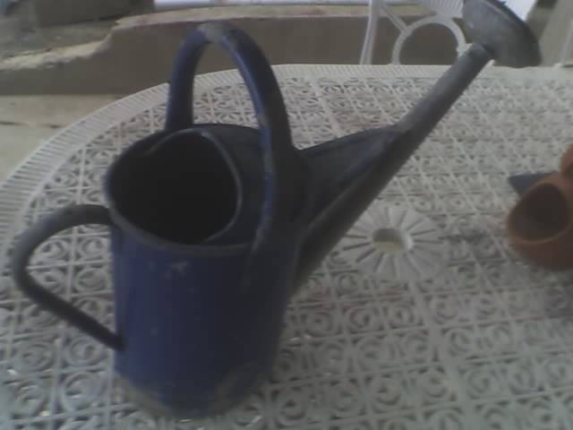 1 Galon Old Blue Watering Can, a Bit rusty ,can be used as a planter.