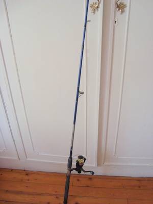 FISHING ROD & REEL (buyer collects)