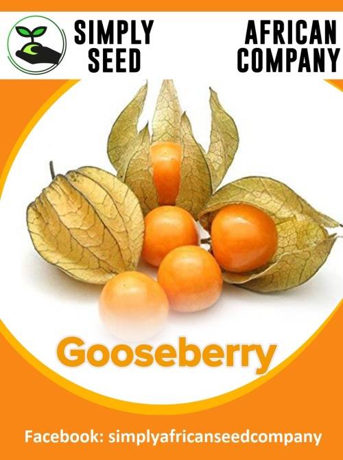 Gooseberry Seeds
