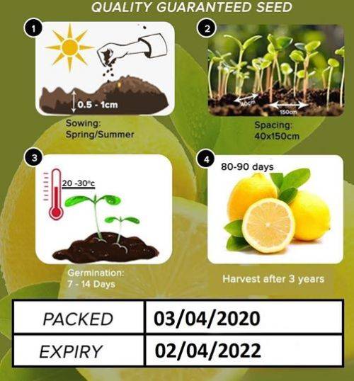 Lemon Seeds