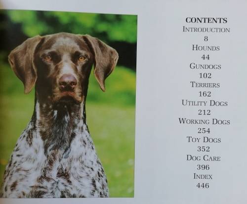 The Ultimate Guide to Dog Breeders / Derek Hall