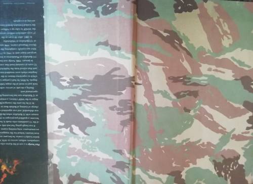 The Terrible Ones - A Complete History of 302 Battalion Volume 2 / Piet Nortjie