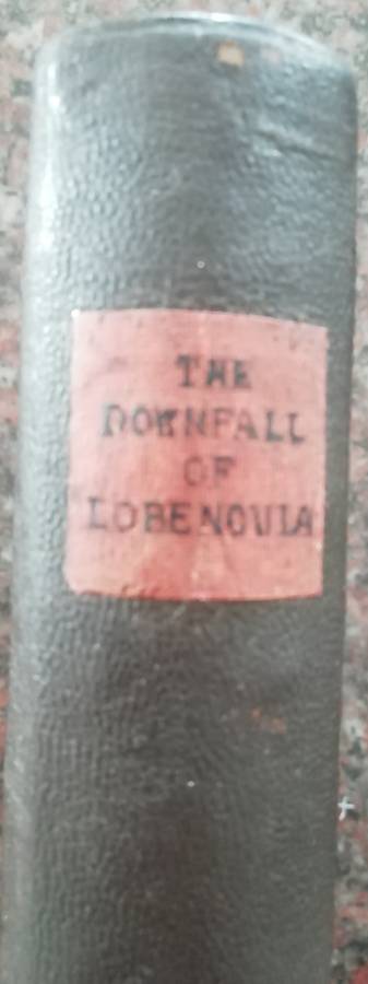 The Downfall of Lobengula / Wills, W.A., Collingridge, L.T. (1894)