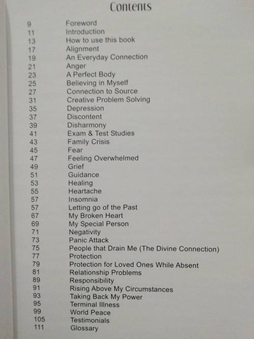 The Divine Connection / Yvette de Villiers