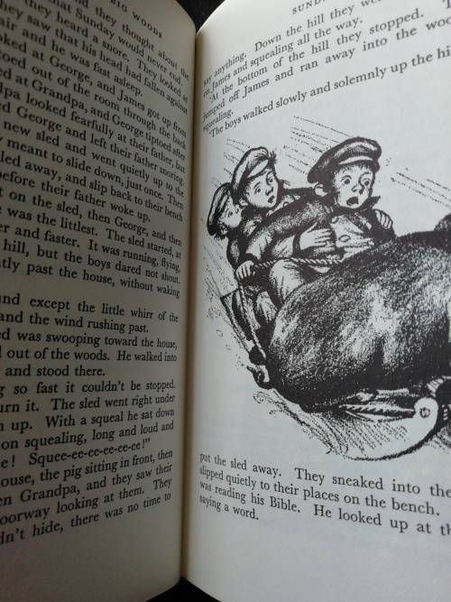 Little House in the Big Woods / Laura Ingalls Wilder