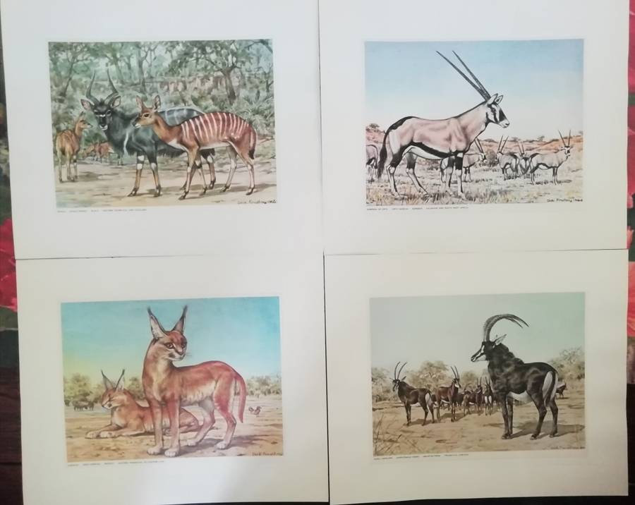 A Folio of South African Animals by Dick Findlay (Limited Edition)