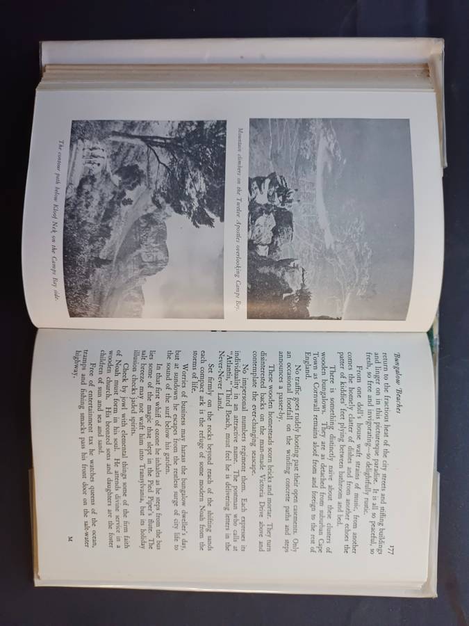 CAPE CAMEOS / Barbara Campbell Tait