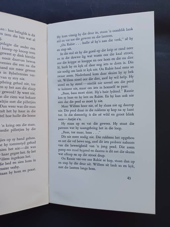 vetkers en neonlig / Abraham H. de Vries