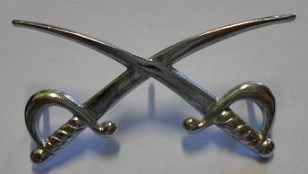 Assistant PT Instructor Badge Dinnes 910