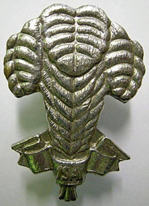 1 SAI Beret BAdge One Bolt Only