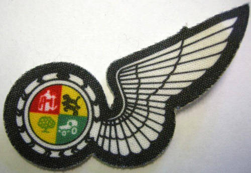 S.A.A.F. Navigator Half Wing Printed 78mm