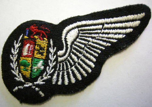 S.A.A.F. Navigator Half Wing Embroidered 79mm x 32mm