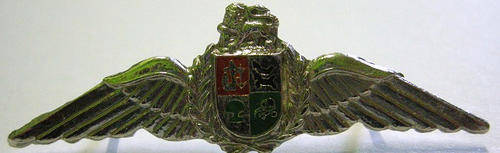 S.A.A.F. Pilot's Wings Mess Dress Pins Intact
