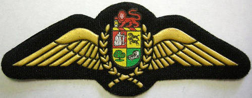 S.A.A.F. Pilot Wing Rubberised