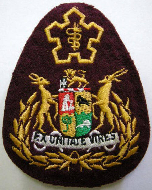 Sergeant Major of the SA Medics Rank Insignia Embroidered on Felt Single