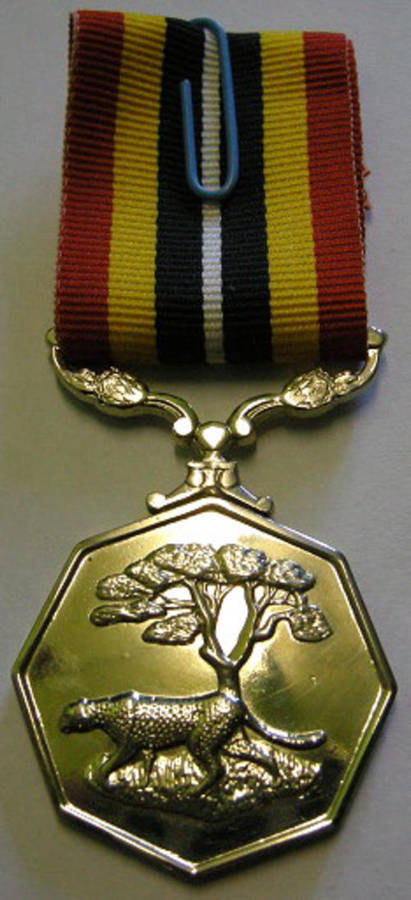 Full Size Southern Africa Medal Double Face Suspender Tall Grass Poor Detail Number Engraved on Rim