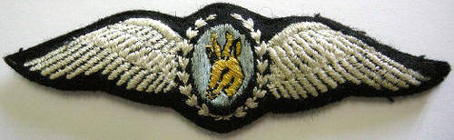 SA Army Air Reconnaissance Wing Embroidered on Felt Padded Owen C122 Note Glue Mark at Back