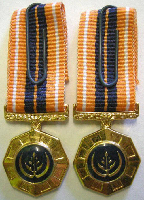 Miniature Pro Patria Medal Raised Epoxy x 2 Variations SEE DESCRIPTION