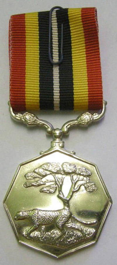 Full Size Southern Africa Medal Uniface Susp Short Grass Crisp Detail Mirror Finish Nr @ Back In Box