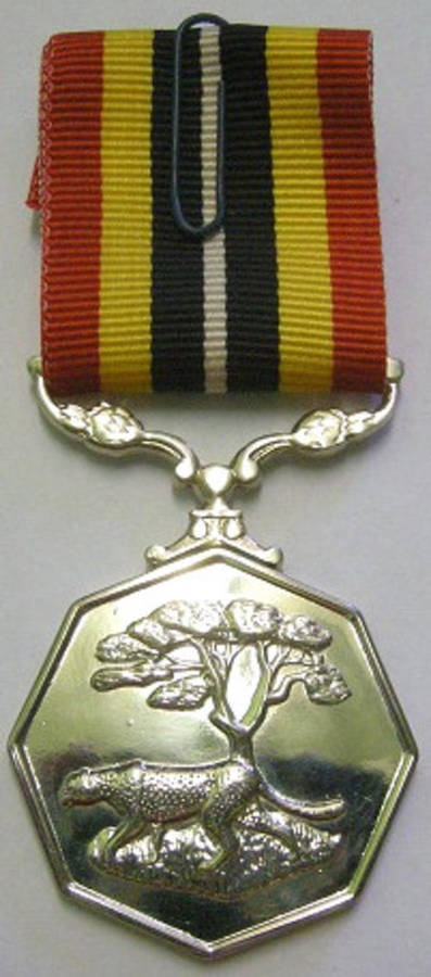 Full Size Southern Africa Medal Double Face Suspender Tall Grass Poor Detail Nr Engraved on Rim
