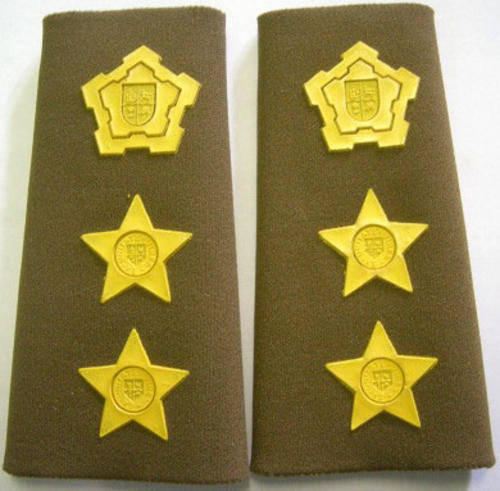 Colonel Rank Insignia Rubberised Pair