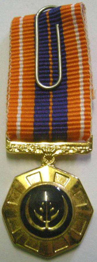 Miniature Pro Patria Medal Raised Epoxy Bright Finish @ Back