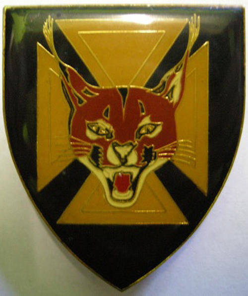 7 SA Infantry Battalion Shoulder Flash Pins Intact